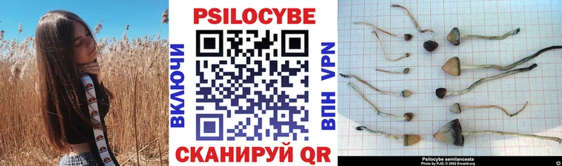 Галлюциногенные грибы ЛСД  Купить  Оха 